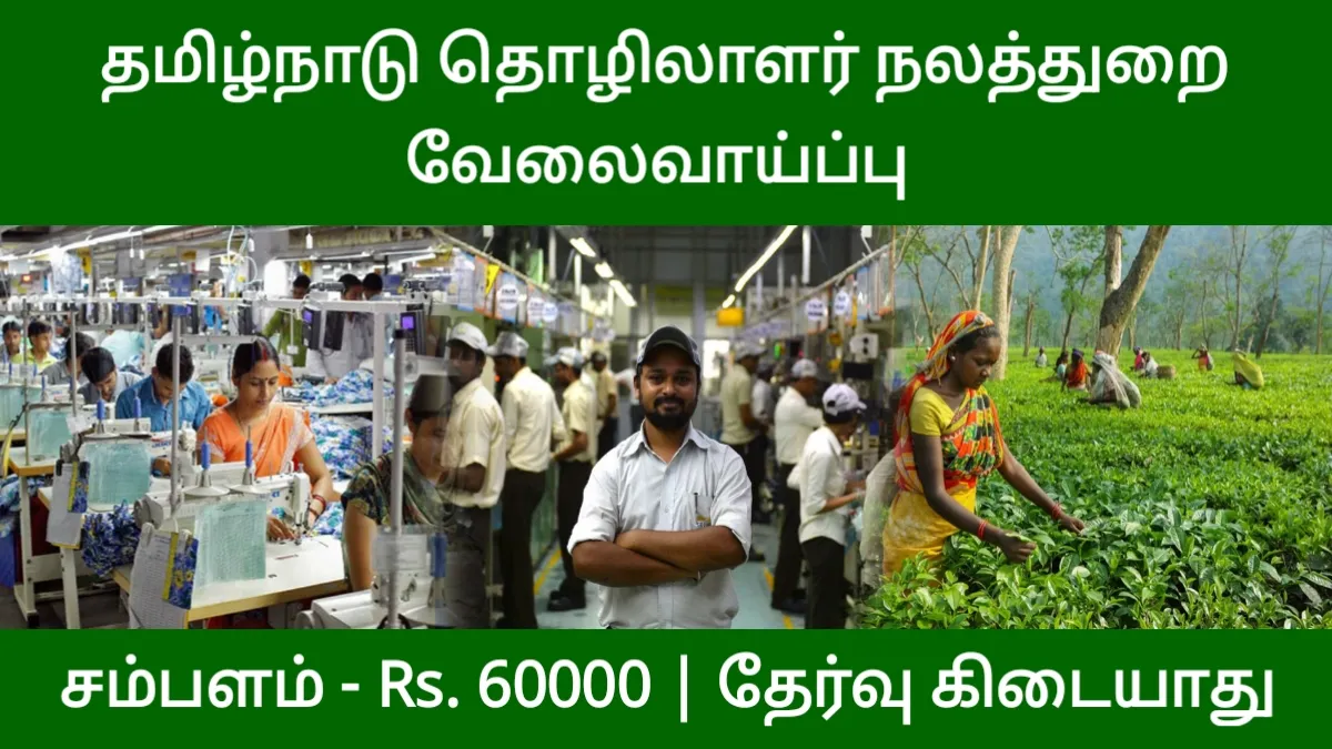 தமிழ்நாடு தொழிலாளர் நலத்துறை வேலைவாய்ப்பு 2024